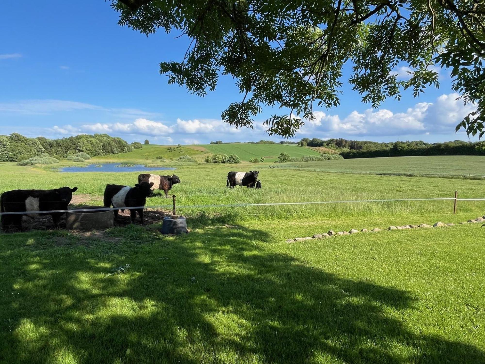 Meldbjerg Villa Stouby Eksteriør bilde